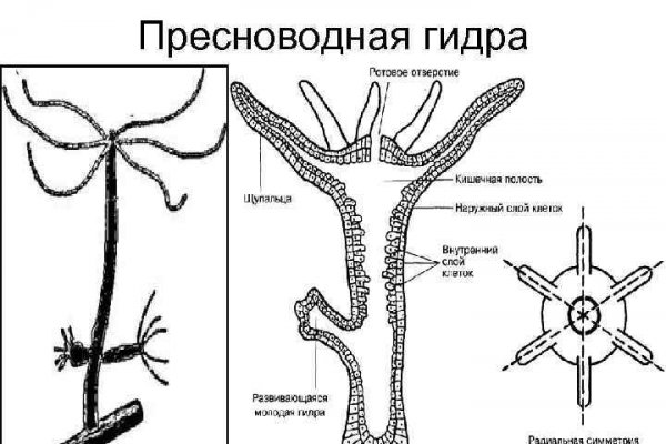 Что с кракеном сегодня сайт