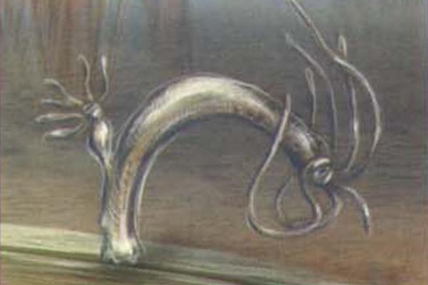 Кракен сайт даркнет