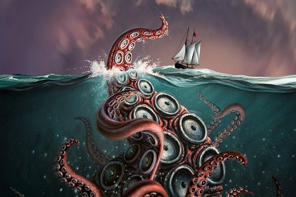 Kraken 24 top
